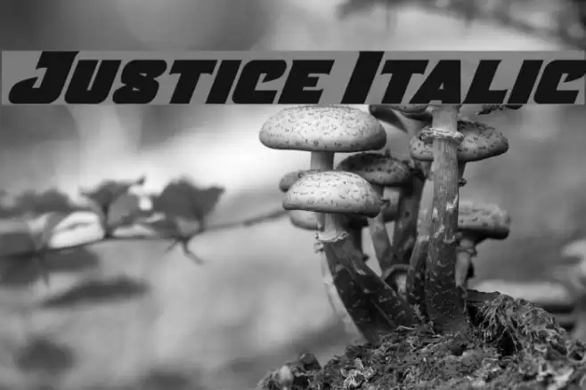 Justice Italic Font examples