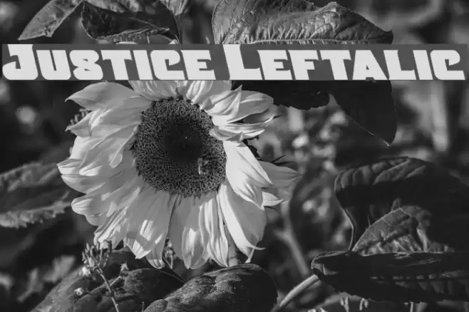 Justice Leftalic Font examples