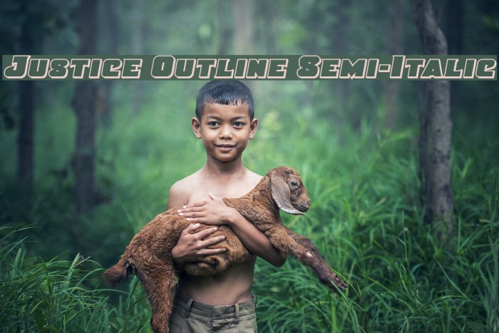 Justice Outline Semi-Italic Example 1