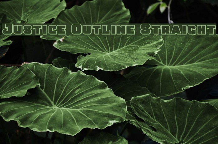 Justice Outline Straight Font examples