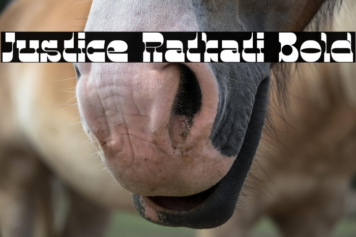 Justice Ratkati Bold Example 1