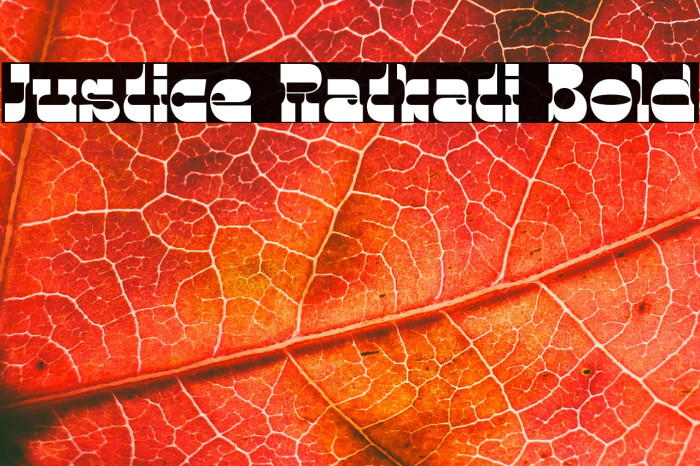 Justice Ratkati Bold Example 3