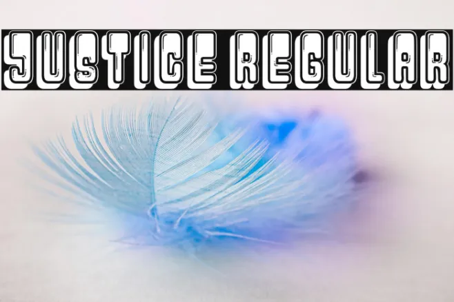 Justice Regular Example 2