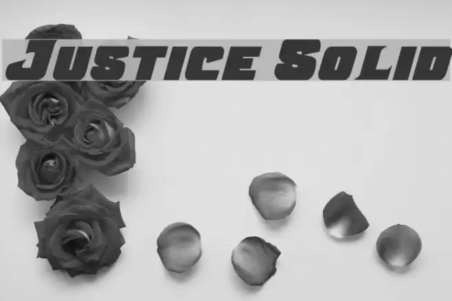 Justice Solid Font examples