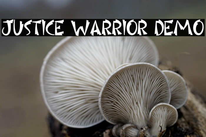 Justice Warrior Demo Example 2