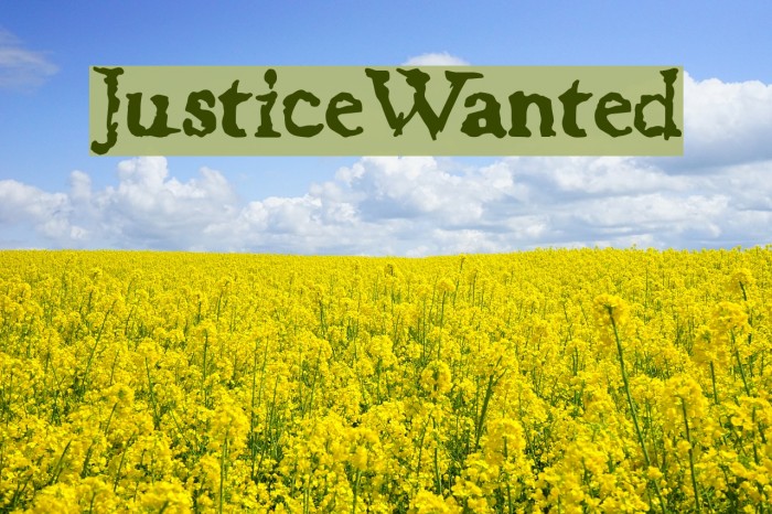 JusticeWanted Font examples