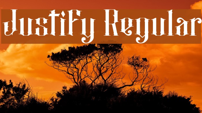 Justify Regular Font examples