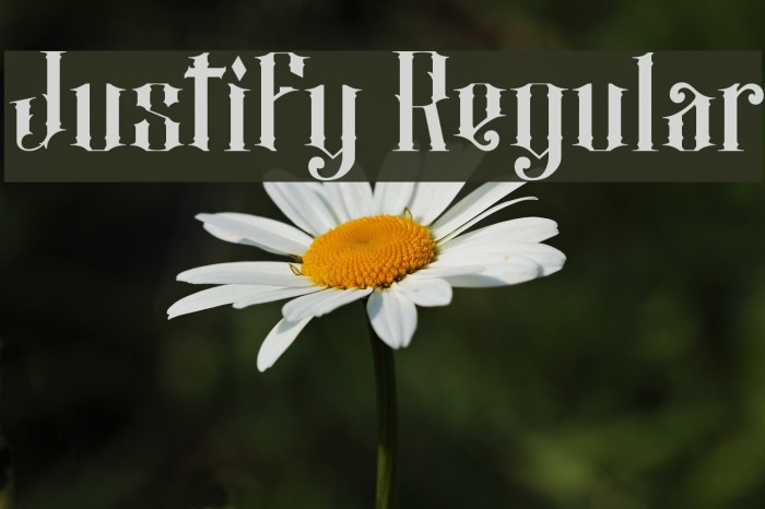 Justify Regular Font examples