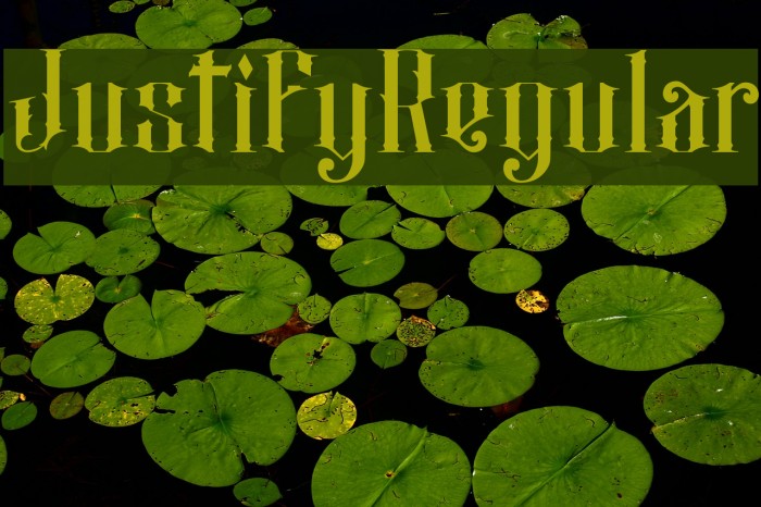 JustifyRegular Font examples