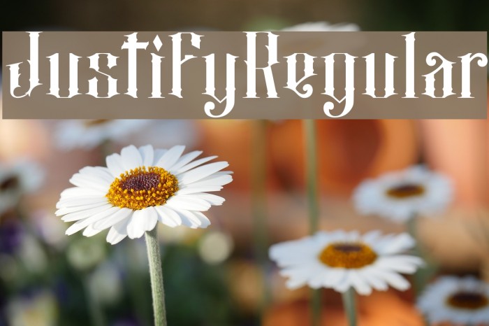 JustifyRegular Font examples