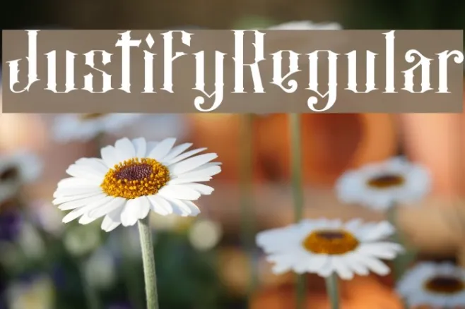 JustifyRegular Example 3