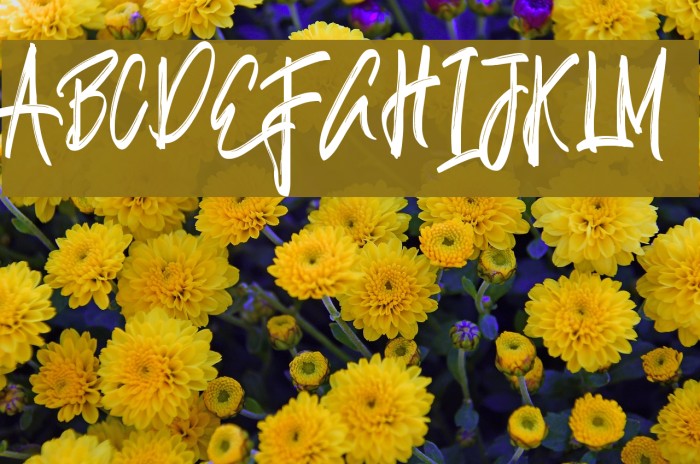 Justin-Medium Example 1