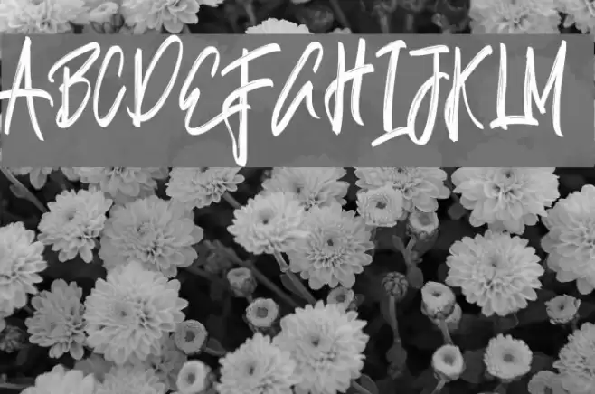 Justin-Medium Font examples