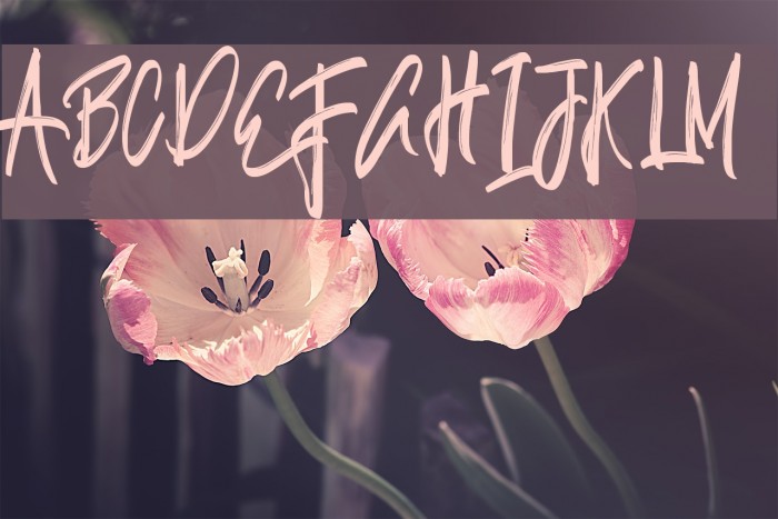 Justin-Medium Example 3