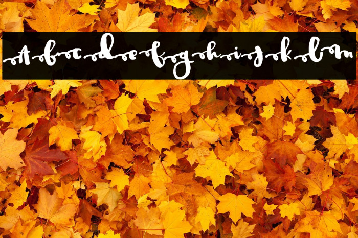 JustinRoad Example 1