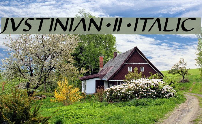 Justinian 2 Italic Fuentes examples