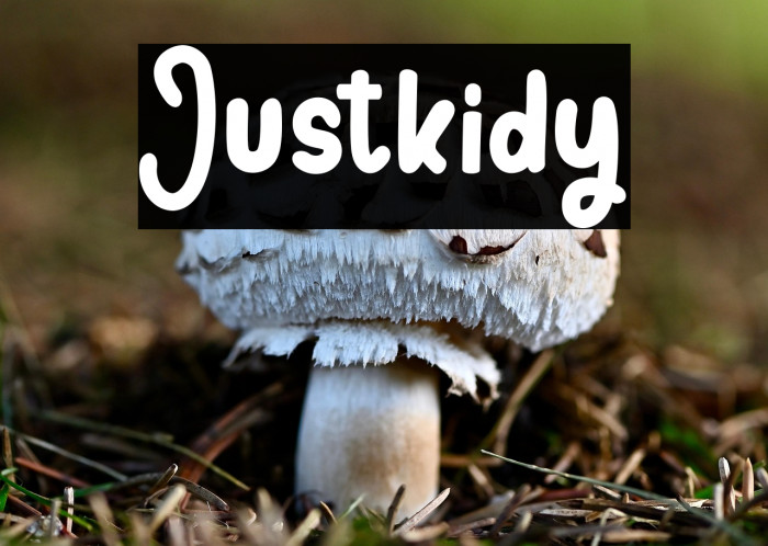 Justkidy Example 2