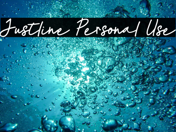 Justline Personal Use Example 1