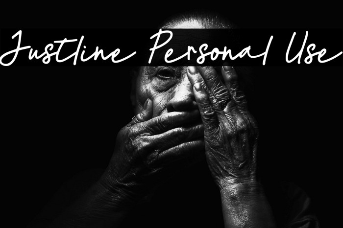 Justline Personal Use Example 2