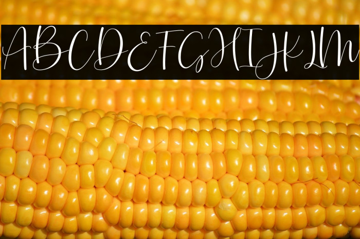 JustlovePersonalUseOnly Example 1