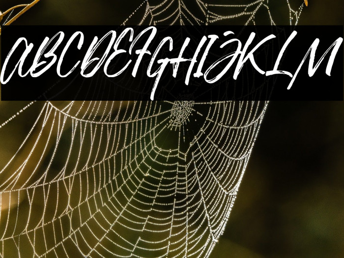 JustlyneDemo Example 2