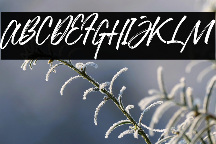 JustlyneDemo Example 3