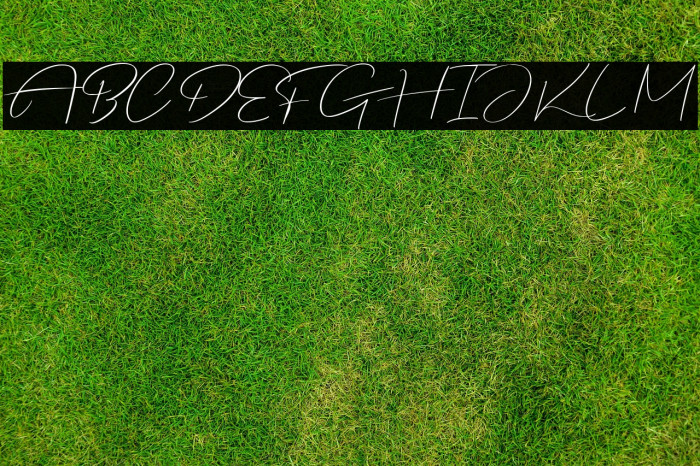 Justmine Demo Example 1