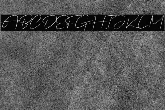 Justmine Demo Fuentes examples