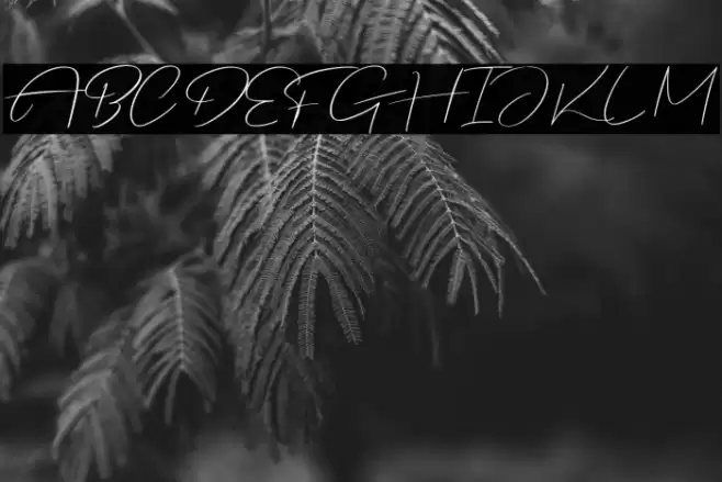 Justmine Demo Fuentes examples