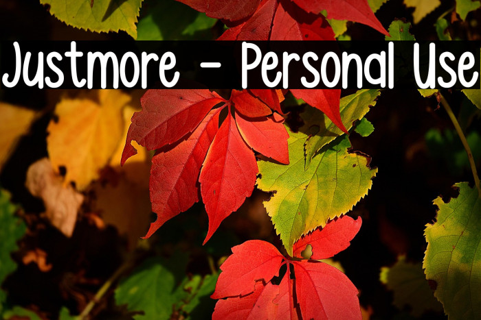 Justmore - Personal Use Example 1