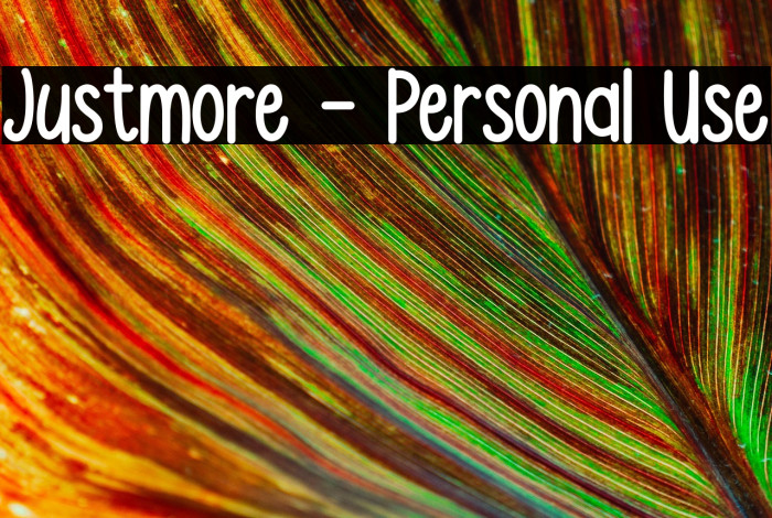 Justmore - Personal Use Example 2