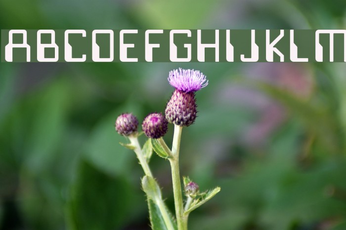 Justov Font examples