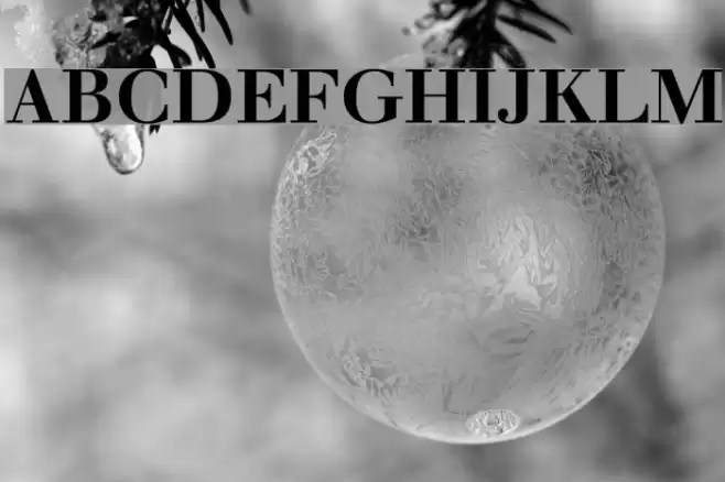 Justus Bold Font examples