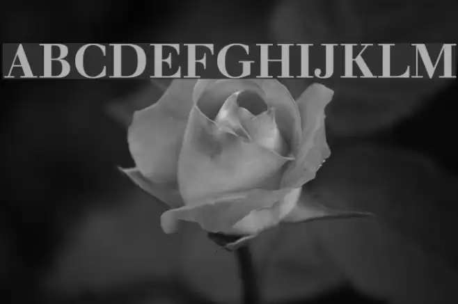 Justus Bold Font examples