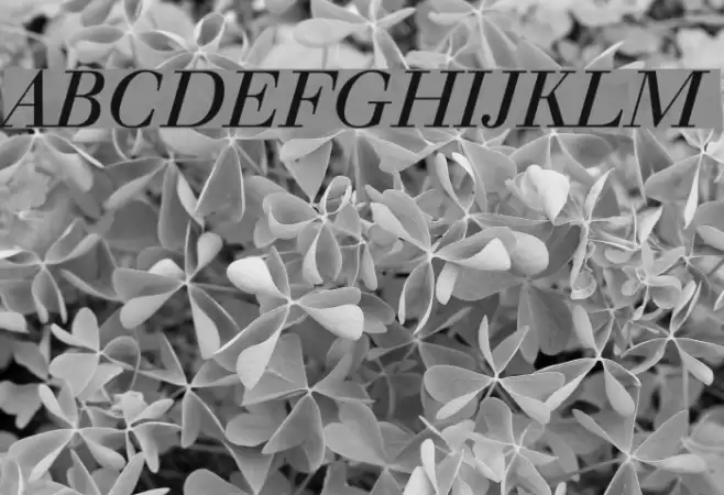 Justus Italic Font examples