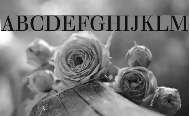 Justus Oldstyle Font examples