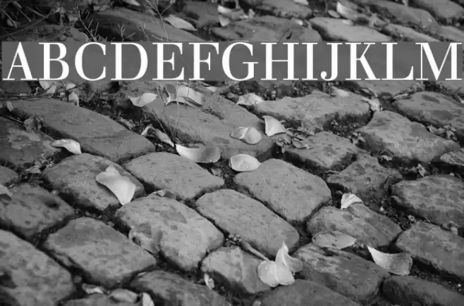 Justus Oldstyle Font examples