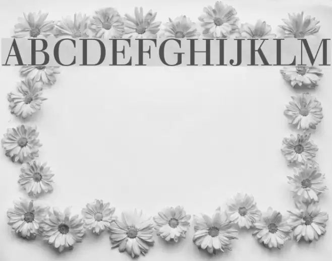 Justus Roman Font examples