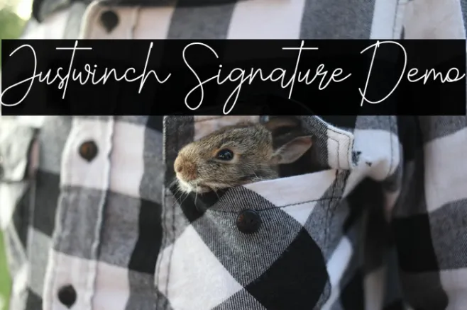 Justwinch Signature Demo Example 1