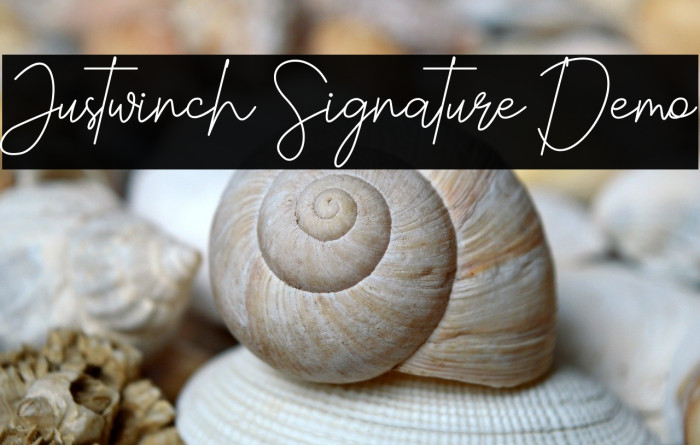 Justwinch Signature Demo Example 2