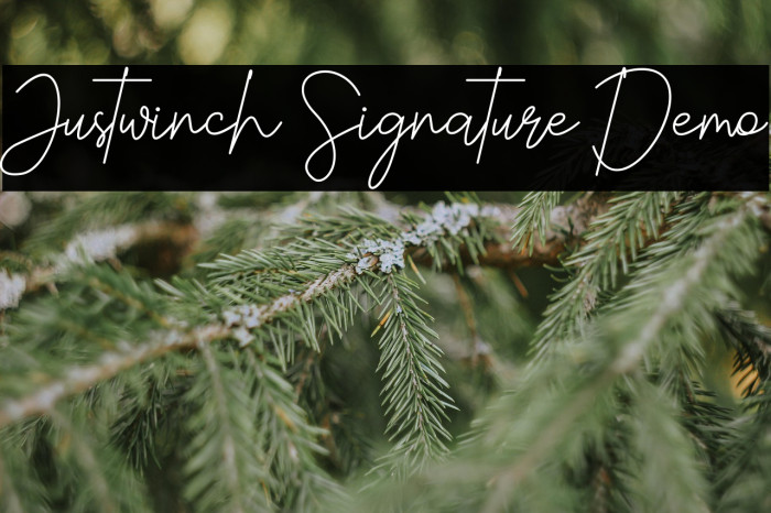 Justwinch Signature Demo Example 3
