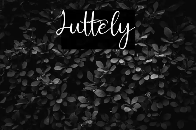 Juttely Font examples