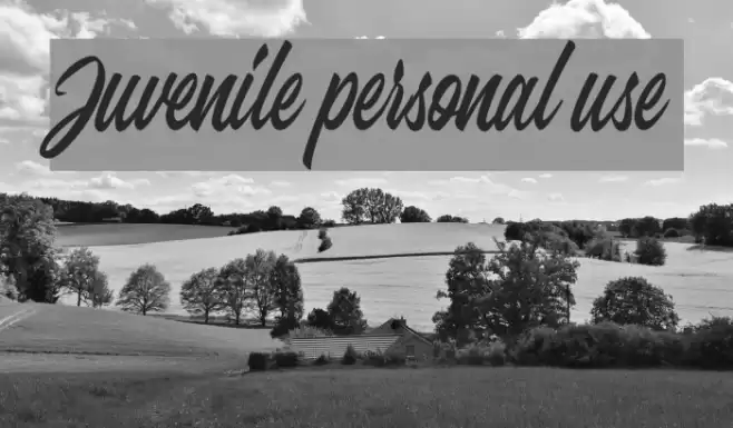 Juvenile personal use Font examples