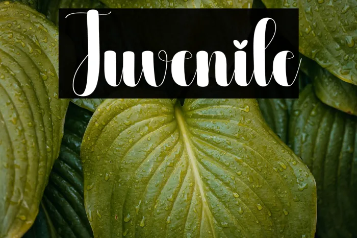Juvenile Example 1