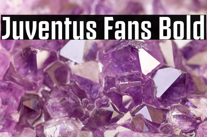 Juventus Fans Bold Example 2