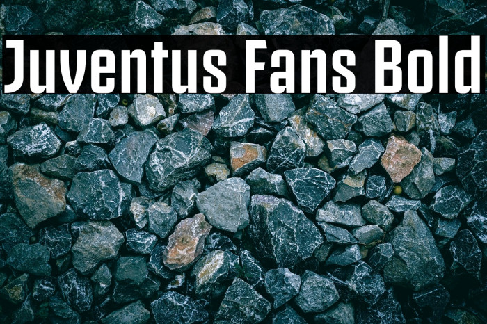 Juventus Fans Bold Example 3