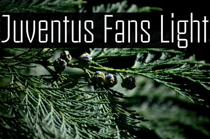 Juventus Fans Light Example 2