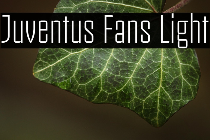 Juventus Fans Light Example 3