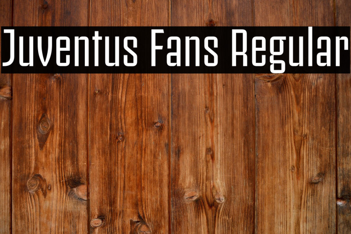 Juventus Fans Regular Example 2
