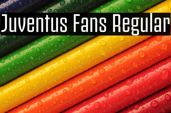 Juventus Fans Regular Example 3